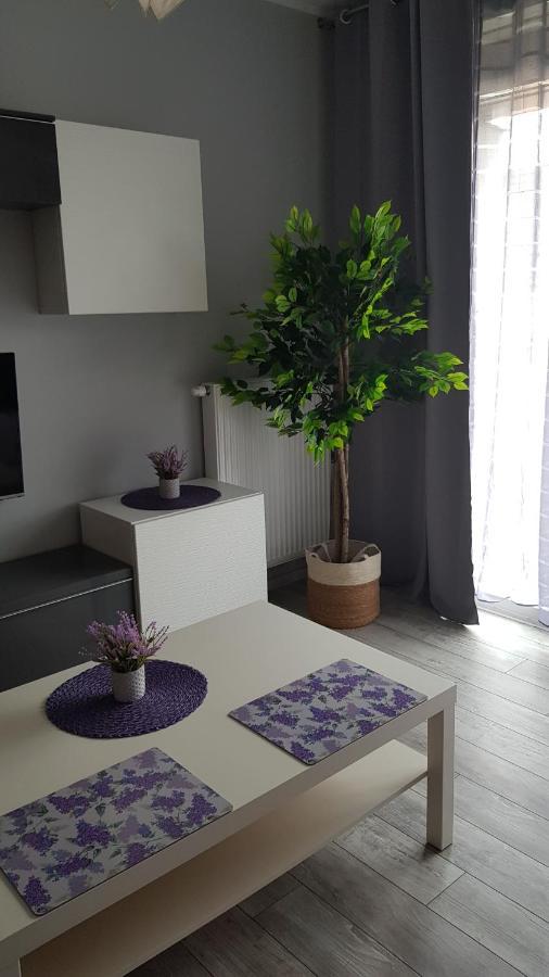 Boznicza Old Town Lux Apartment, Self Check-In 24H, Free Parking Познан Екстериор снимка